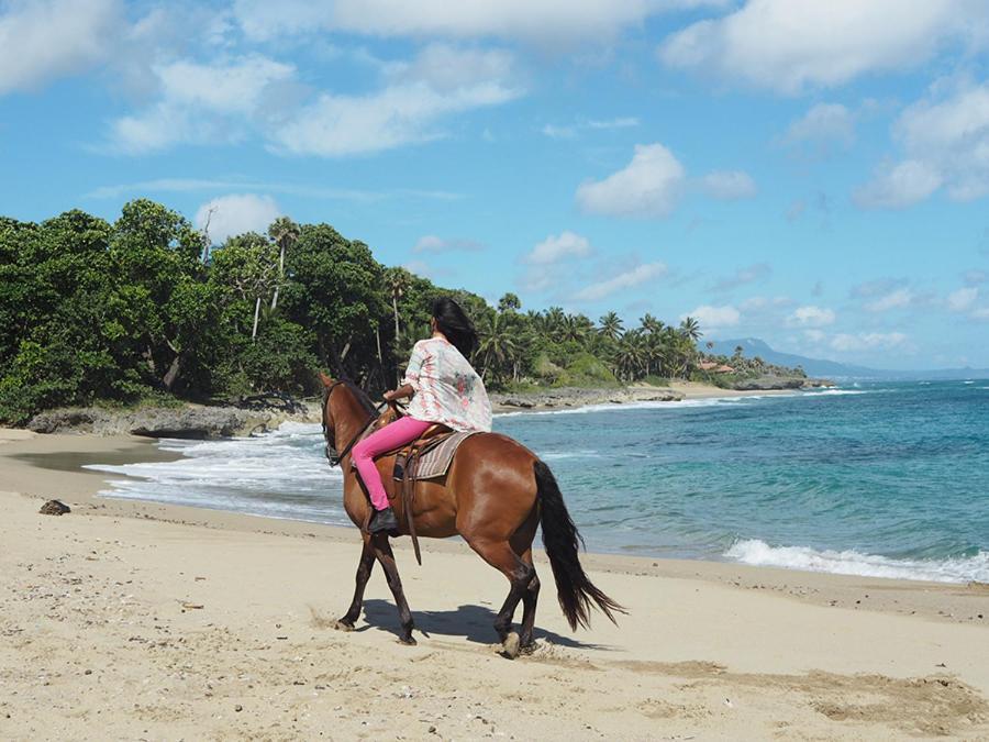 Sea Horse Ranch Villa La Mulata Exteriör bild